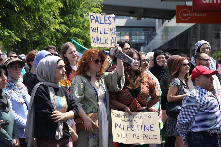 Image of protestors holding pro Palestine placards