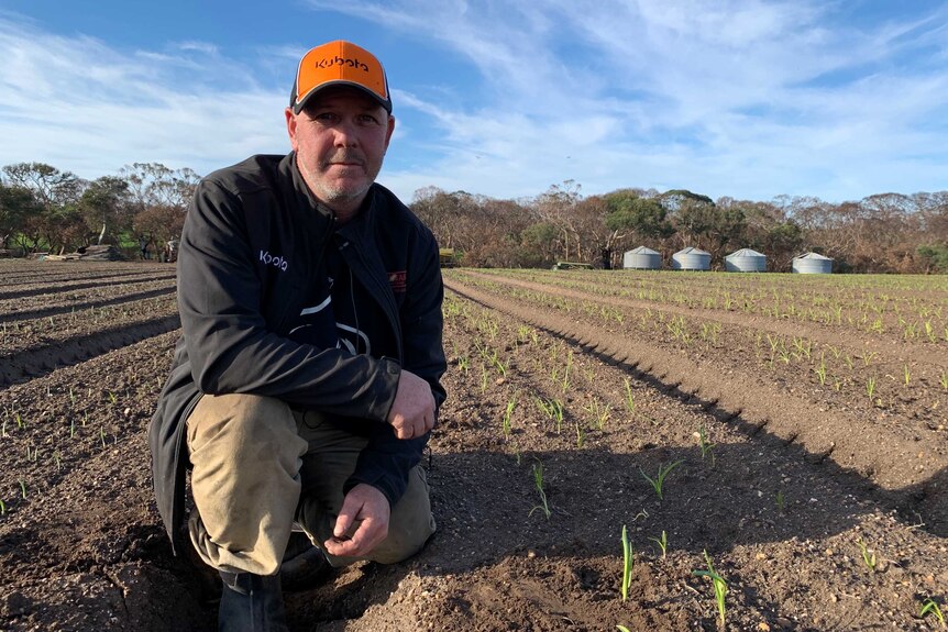 Garlic farmer Shane Leahy kneels down in the dirt