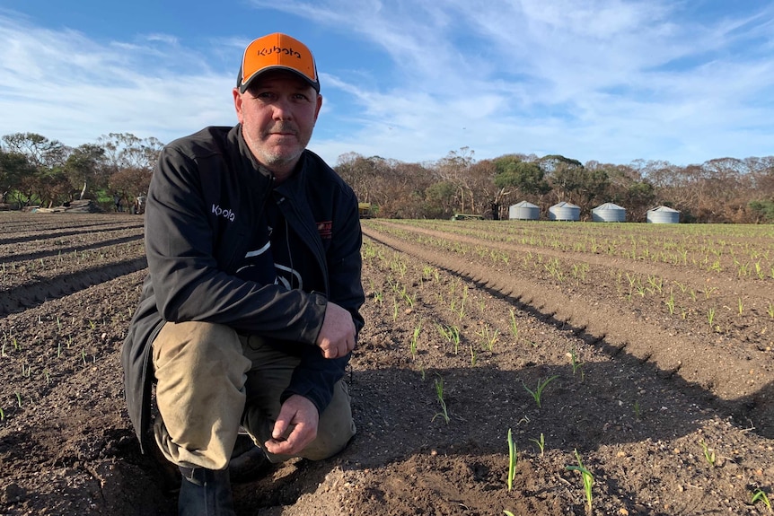 Garlic farmer Shane Leahy kneels down in the dirt