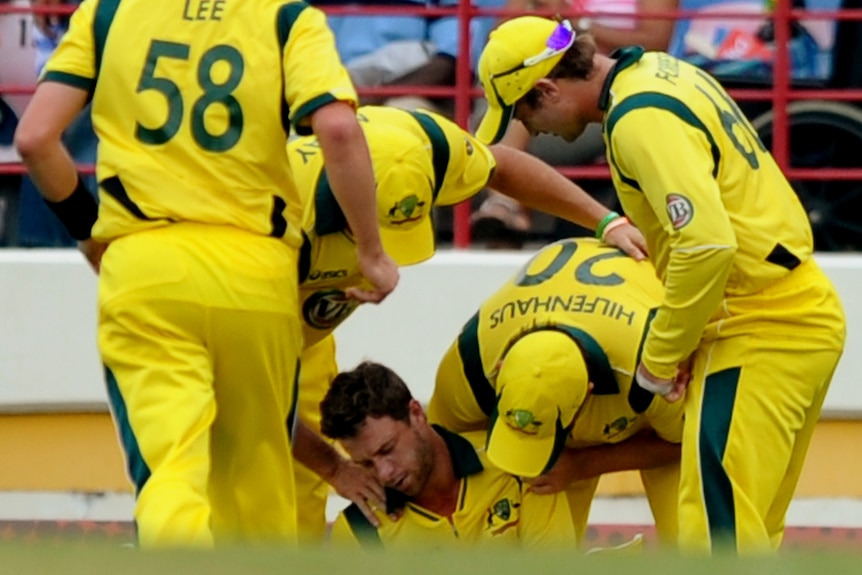 Agony ... Matt Wade's team-mates check up on him after he collided with Ben Hilfenhaus.
