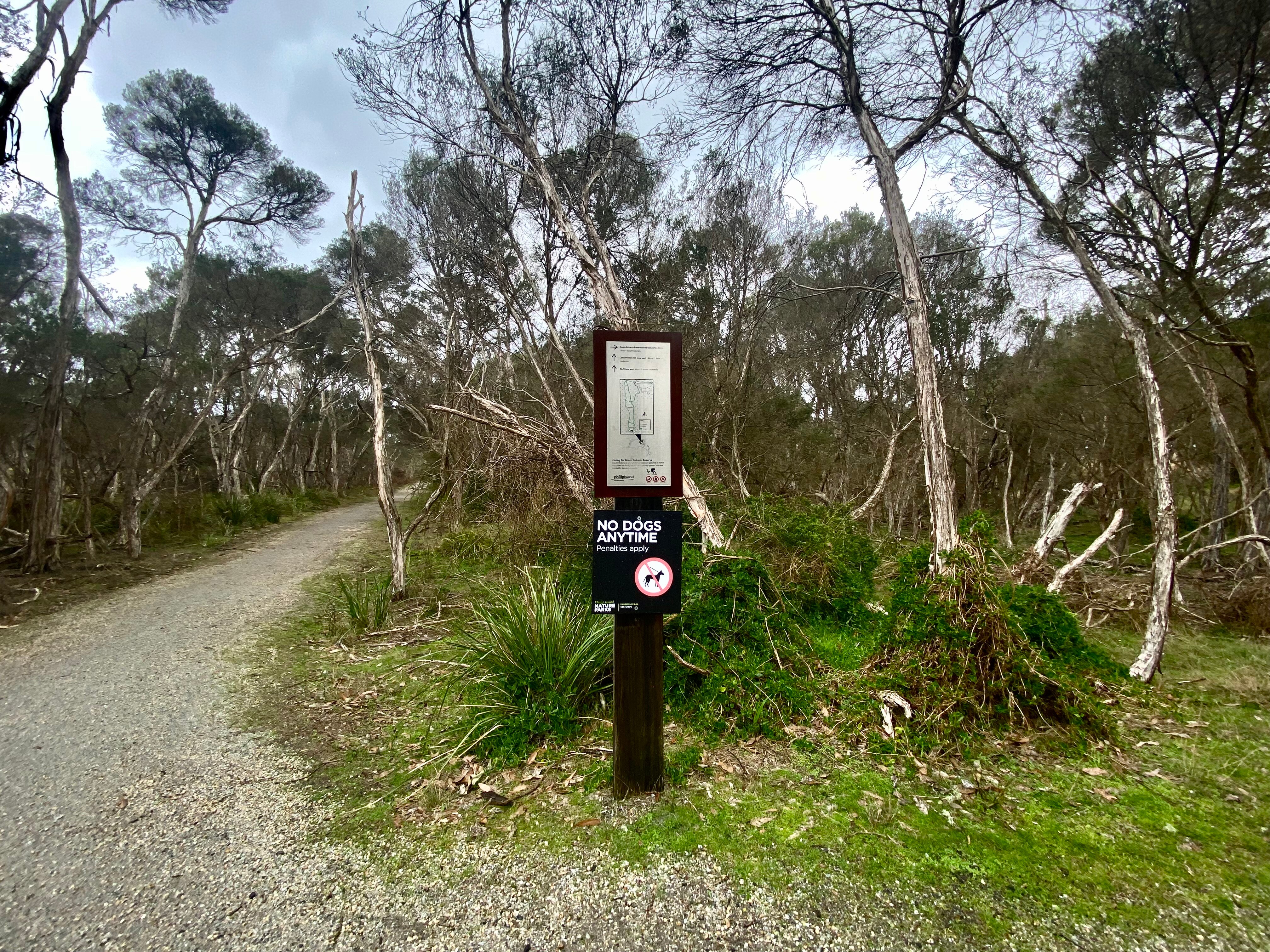 A sign at the start of a dirt track saying no dogs are allowed. 