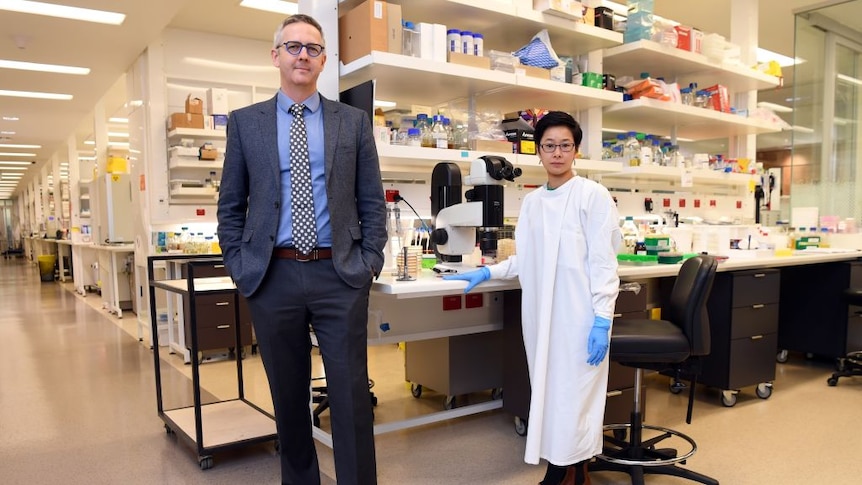 Ben Howden and colleague Jean Lee pictured standing in a large laboratory