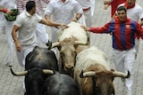 Runners sprint in front of bulls in Spain