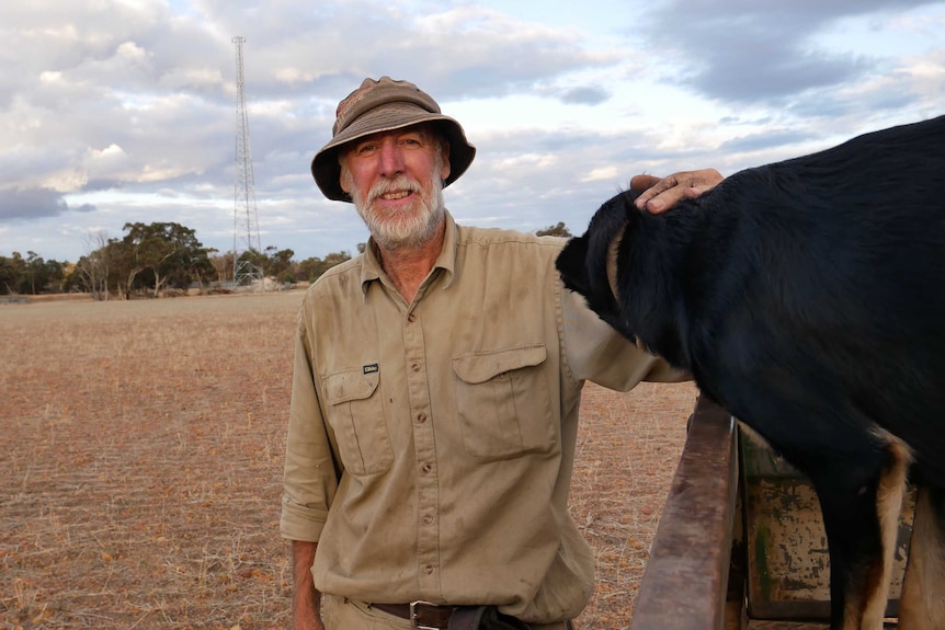 Badgebup farmer Mal Packard stands next to a dog in a paddock with a mobile phone tower in the distance.