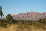 The remote community of Haasts Bluff hopes to erect giant neon crucifix on a hill by the main road