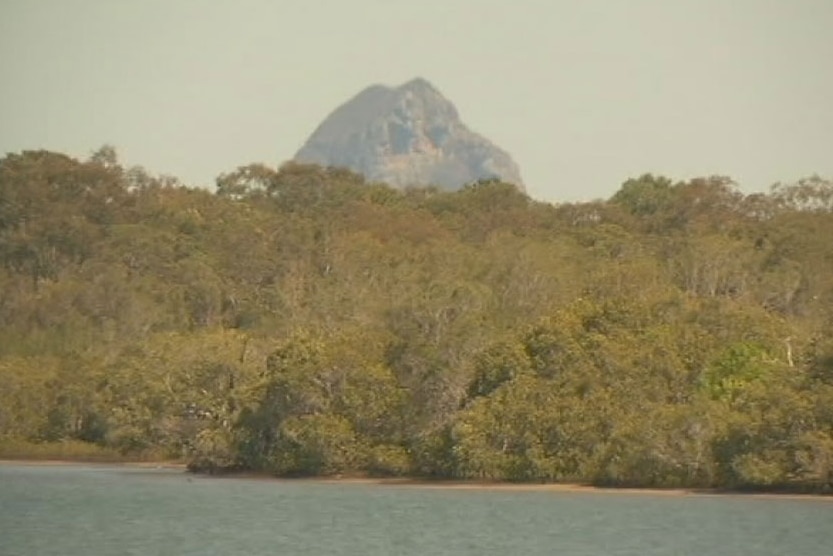 A view from the ocean of a mangrove swamp with a peak looming behind it.