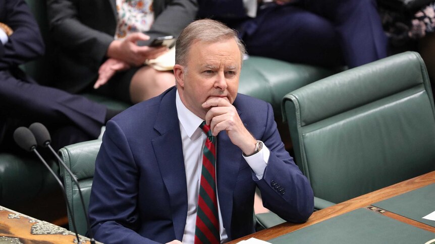 Anthony Albanese holds his chin as he sits in the Opposition leader's chair in the house of representatives