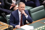 Anthony Albanese holds his chin as he sits in the Opposition leader's chair in the house of representatives
