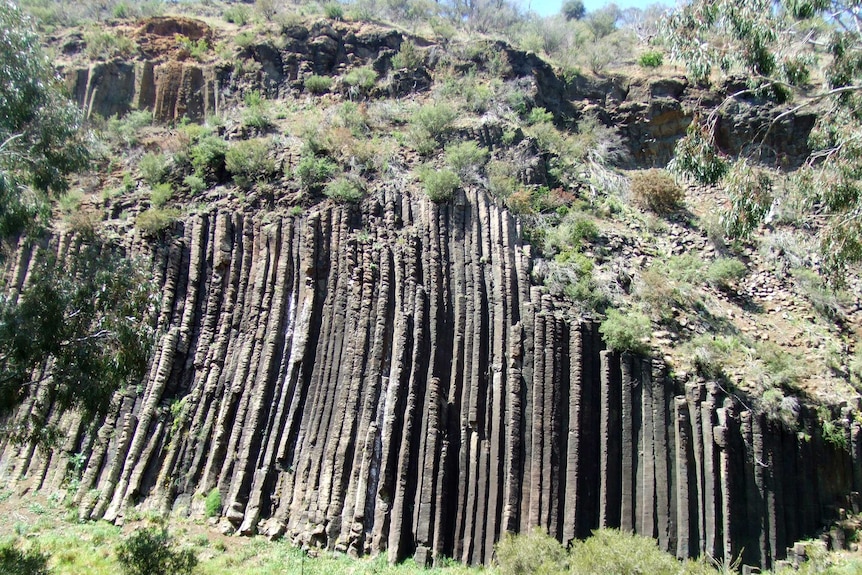 A lined rock face, surrounded by bushland.