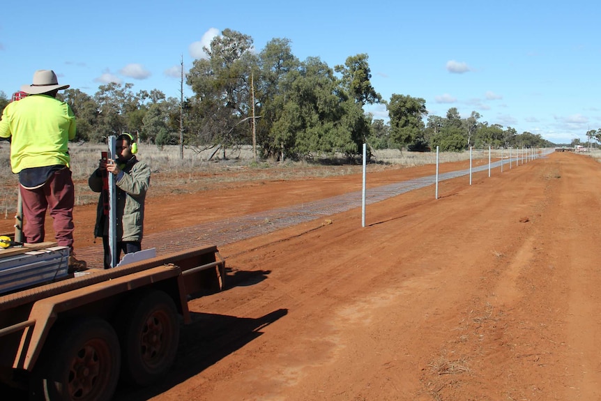 Workers erecting the fence posts with the wire on the ground waiting to go up on the fence which stretches into the distance.