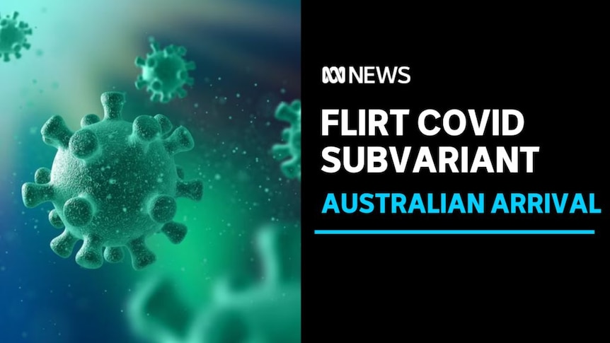 FLiRT COVID Subvariant, Australian Arrival: Graphic rendering of COVID virus molecules.