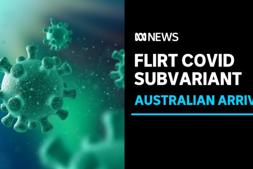 FLiRT COVID Subvariant, Australian Arrival: Graphic rendering of COVID virus molecules.