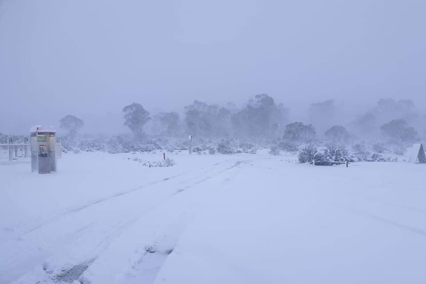 The Miena phone box in a snowfall.