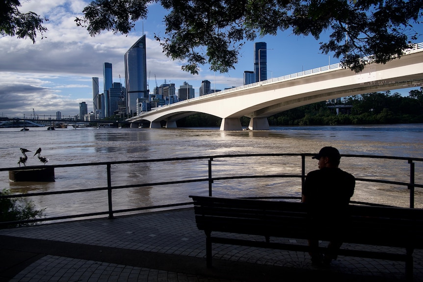 Man sits watching flooded Brisbane River