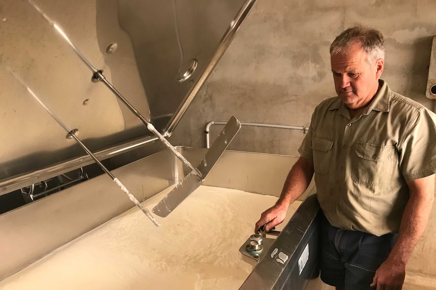 A man in a brown shirt looks at milk being churned in a large vat