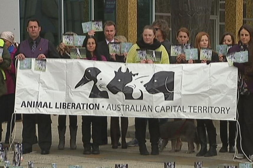 Protesters outside the ACT Legislative Assembly.
