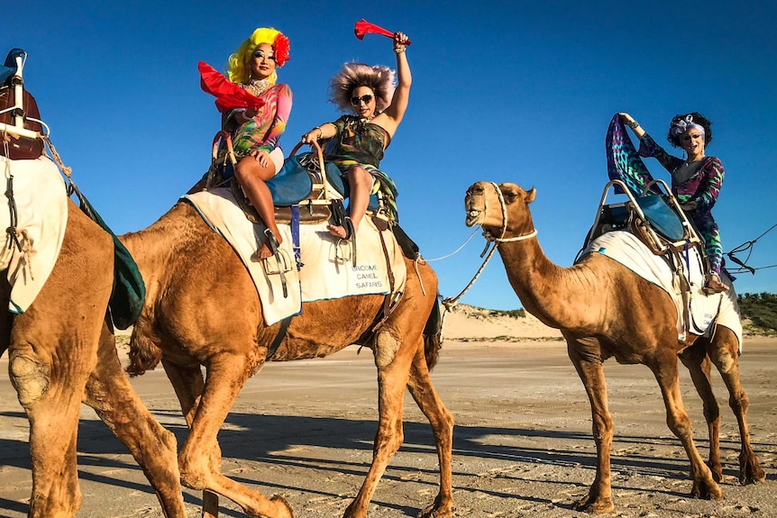 Drag Territory enjoying a camel ride in Broome.