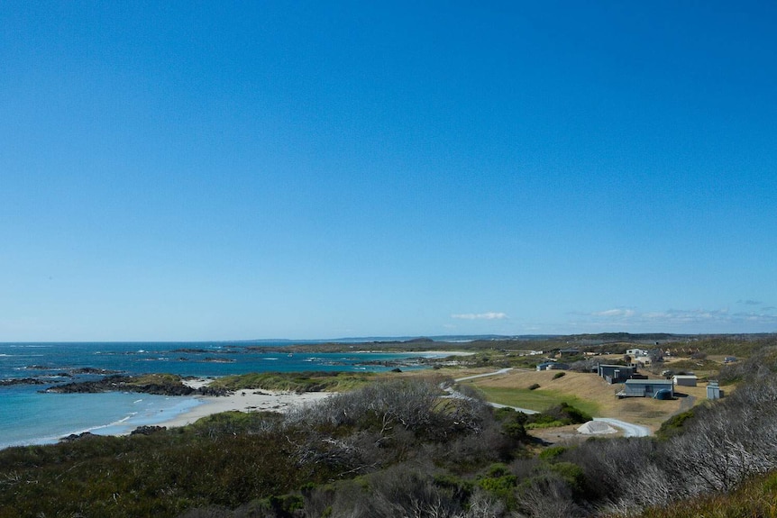 Beach view of Nelson Bay on Tasmania's West Coast