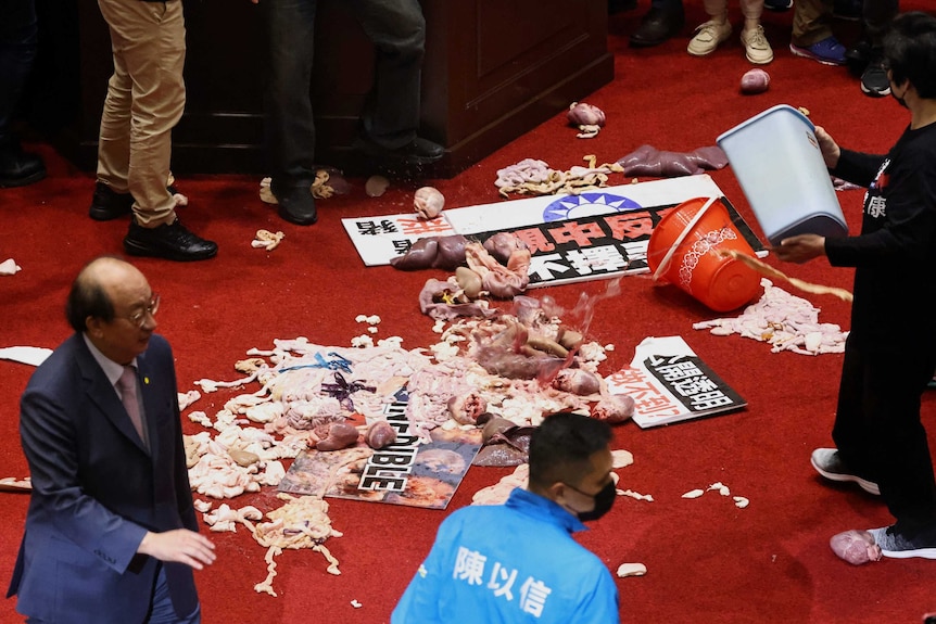 Pig guts lie on the red floor of parliament, surrounded by placards.