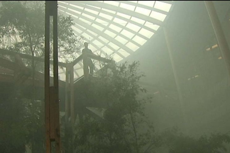 The atrium of Forestry Tasmania filled with smoke after a protest.