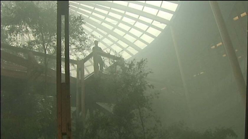 The atrium of Forestry Tasmania filled with smoke after a protest.