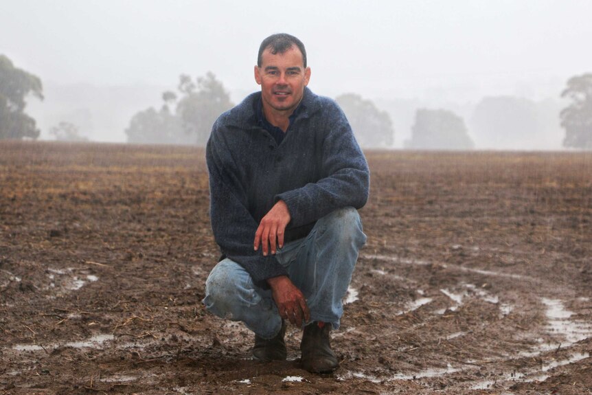 Farmer Rhys Turton pictured squatting in a rain-soaked paddock.