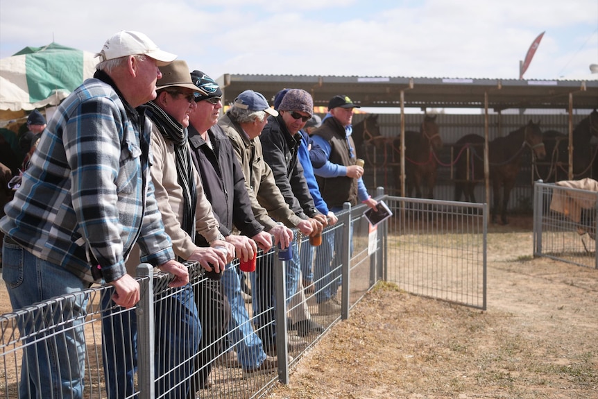 Men wearing caps, Akubra-style hats and beanies, and warm clothes, stand in a line as they lean on a low fence.