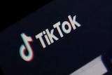 The logo of TikTok application is seen on a screen.