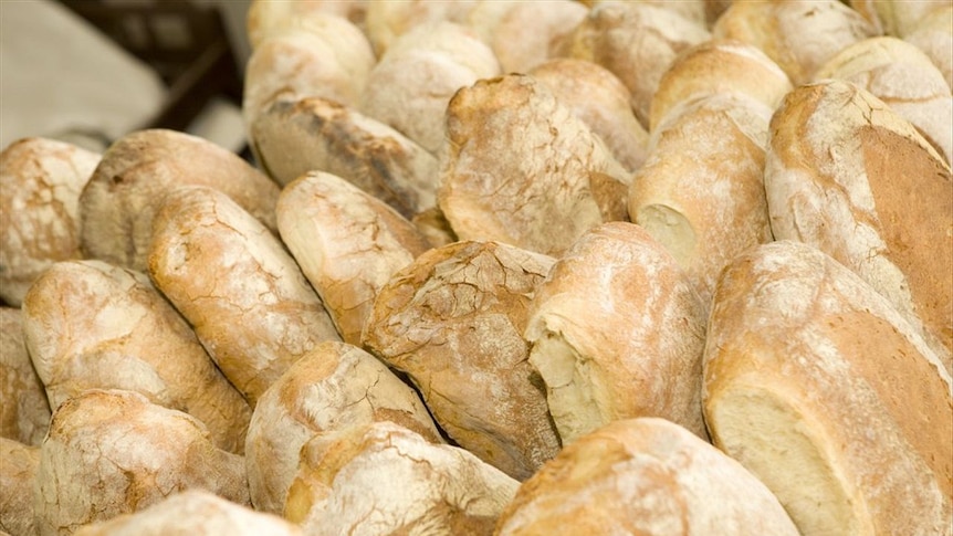 Fresh bread from the Capital Region Farmers Markets