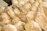 Fresh bread from the Capital Region Farmers Markets