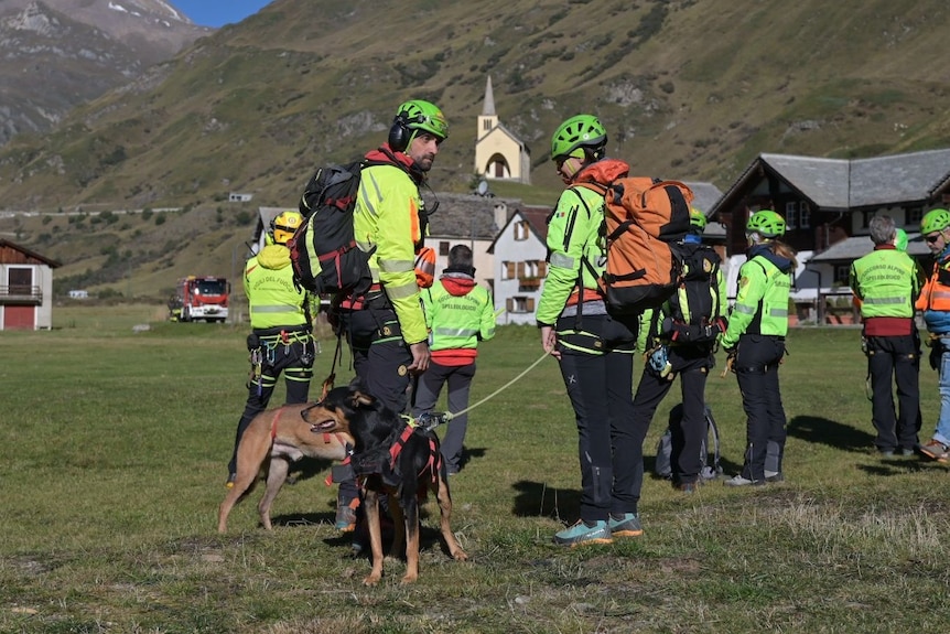 Rescuers in hi-vis hold the leashes of two dogs. 