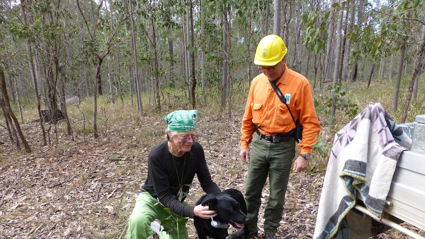 Koala tracking dog Oscar with his owner Jim Shields