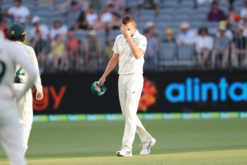 Josh Hazlewood puts his hand to his brow after sustaining an injury
