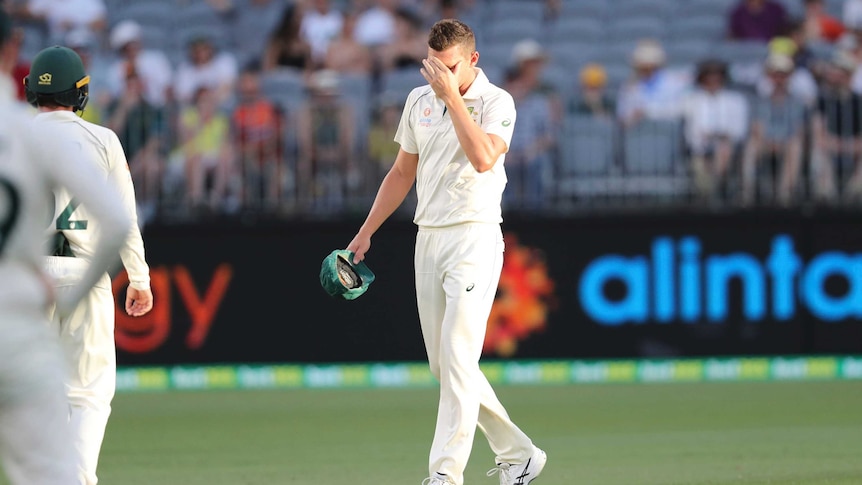 Josh Hazlewood puts his hand to his brow after sustaining an injury