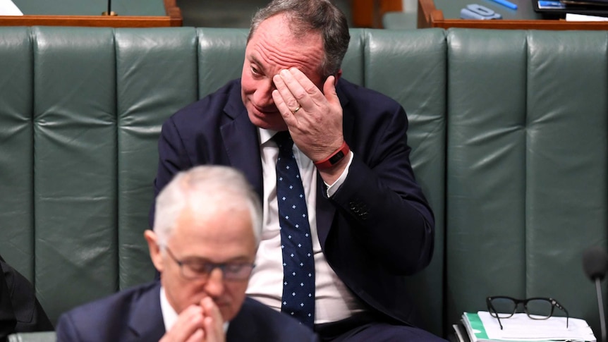 Barnaby Joyce touches his brow as Malcolm Turnbull speaks during Question Time.