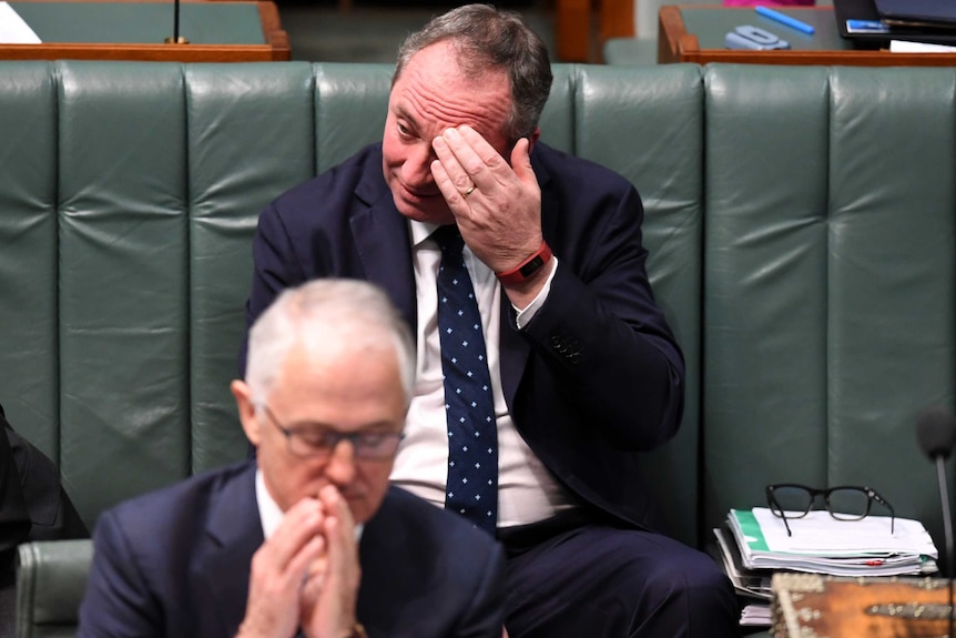Barnaby Joyce touches his brow as Malcolm Turnbull speaks during Question Time.