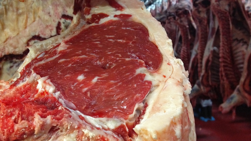 New xray tool for beef carcase quality measurement