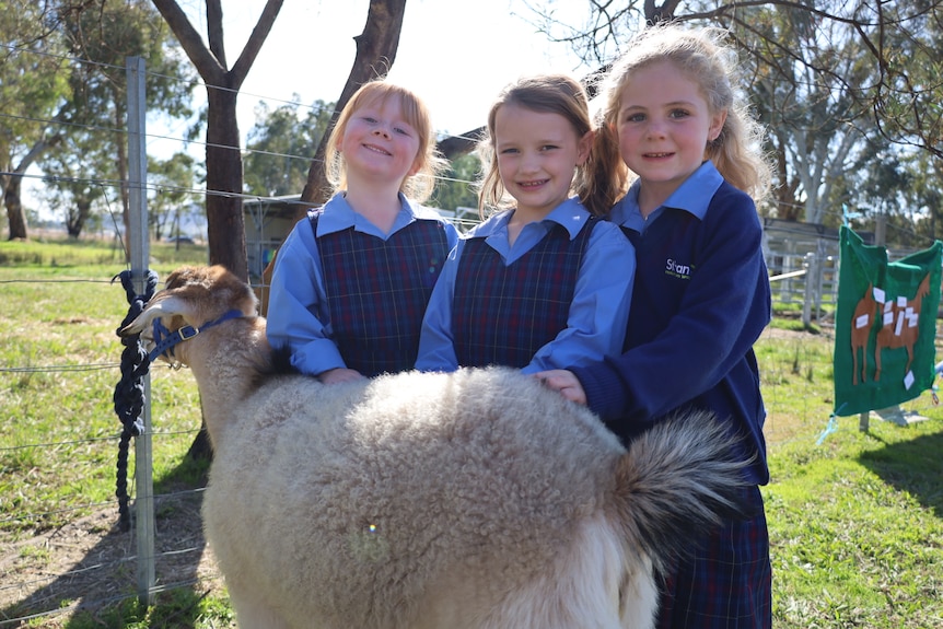 Three young girls stand with a goat 