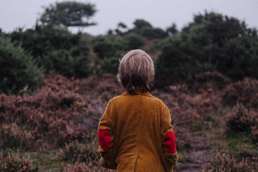 A child stares into a forest