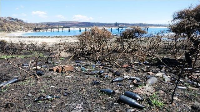 Environmentalists will begin a clean up of thousands of discarded bottles littering the coastline at Catherine Hill Bay.
