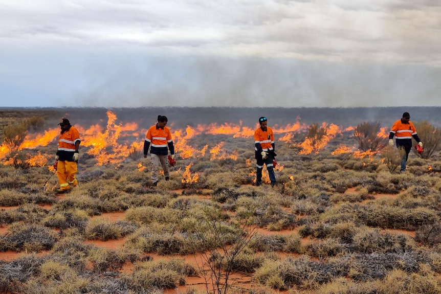 Four Indigenous rangers setting fire to desert country