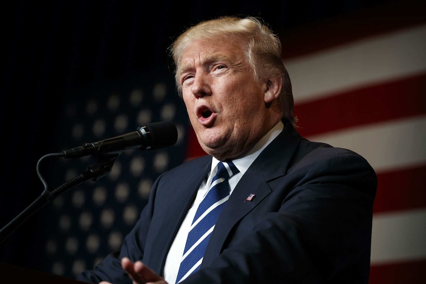 Donald Trump speaks during a campaign rally