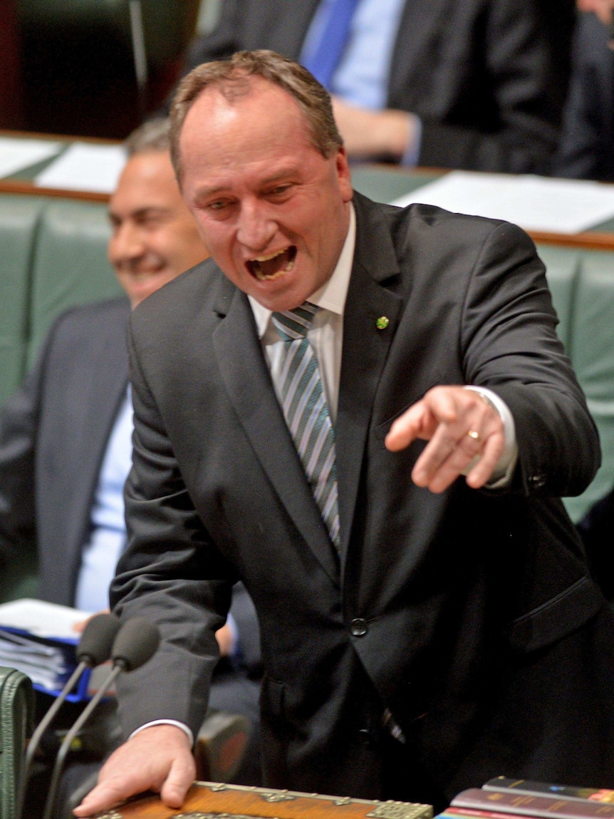 Agriculture Minister Barnaby Joyce gestures during Question Time on June 5, 2014.