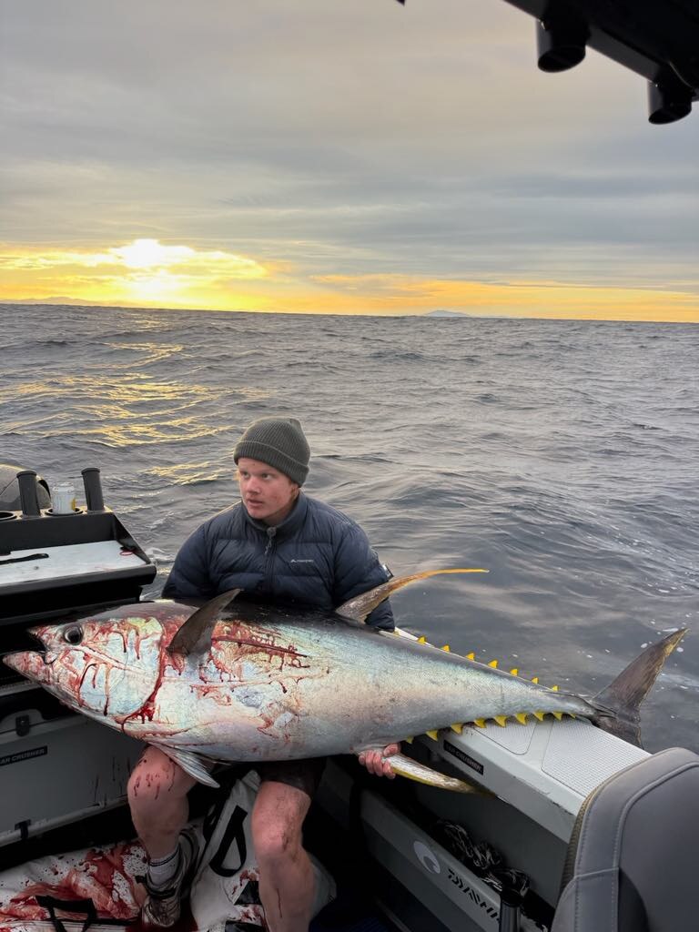 The Big Fish: Huge Yellowfin off the South Coast