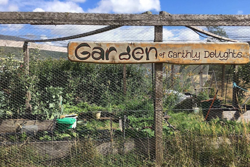 Rosemary Norwood's garden