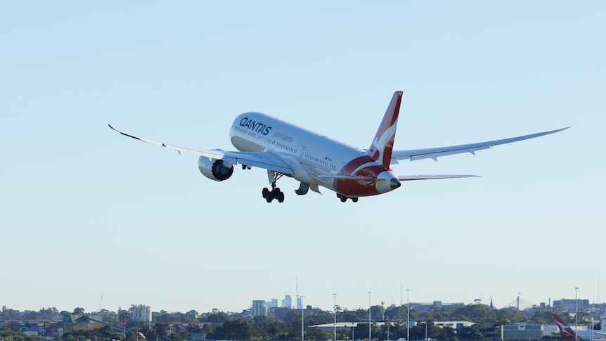 A qantas plane taking off into a clear blue sky with a city skyline at the bottom in the distance
