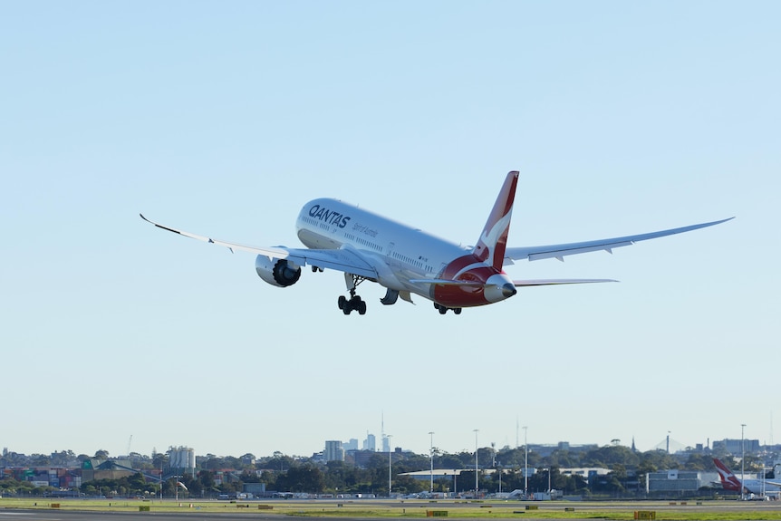 A qantas plane taking off into a clear blue sky with a city skyline at the bottom in the distance