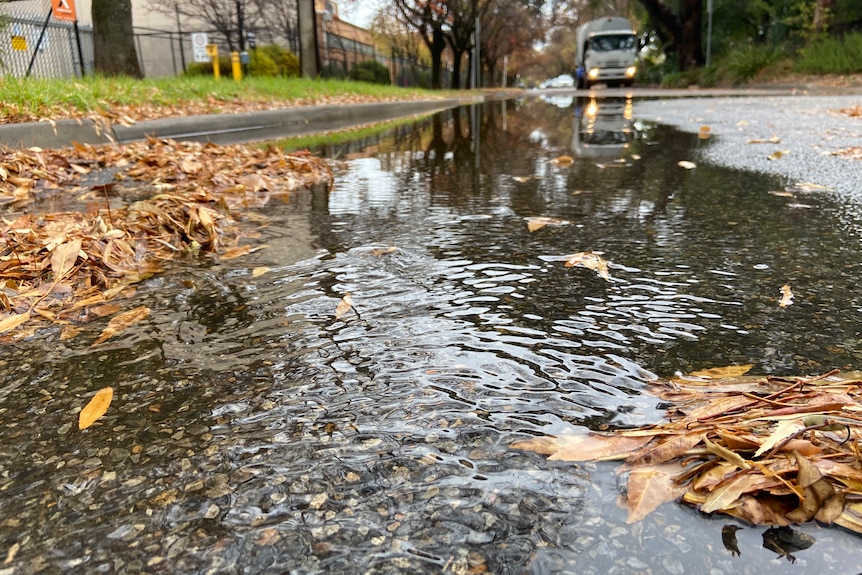 Puddle with leaves on a road with a truck in the distance