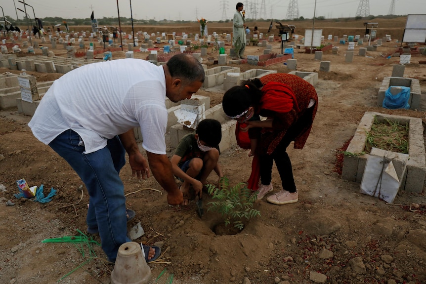 Un homme sud-asiatique en chemise blanche aide un garçon et une fille à planter un petit arbre dans un cimetière