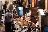 Police use a sniffer dog at the site of an explosion in the Zaveri Bazaar